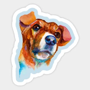 Dog portrait Sticker